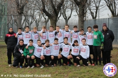 Collegno in Maschera 2016 - Cheraschese