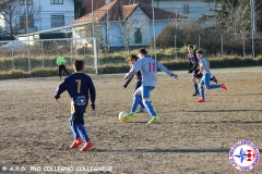 17° Collegno in Maschera41