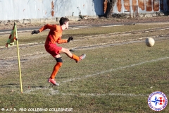 17° Collegno in Maschera54