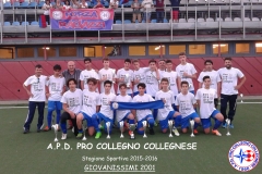 giovanissimi 2001_1