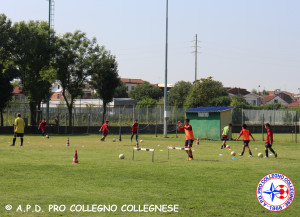 campo D-E_2
