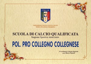 pergamena s.c. qualificata